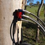 HFD8 Sap Flow Needles Installed