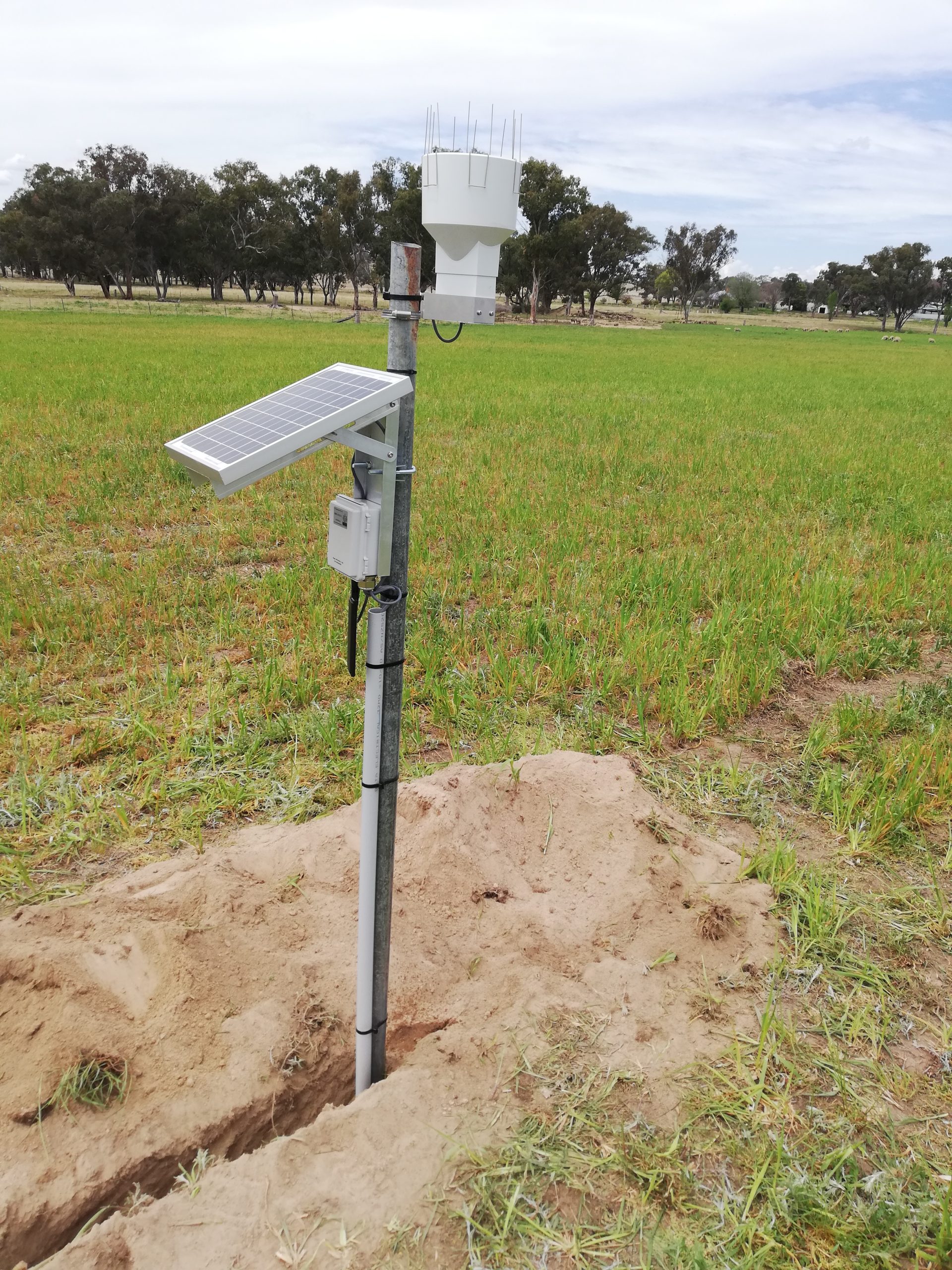 All-Weather Rain Gauge - BIOWEB Global