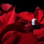 SQ-640 Light Pollution Sensor