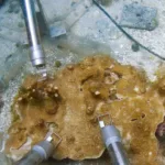 In-situ measurement on corals using MONITORING-PAM Aquatic Version