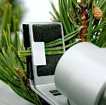 In-situ measurement on a plant using MONITORING-PAM Terrestrial Version