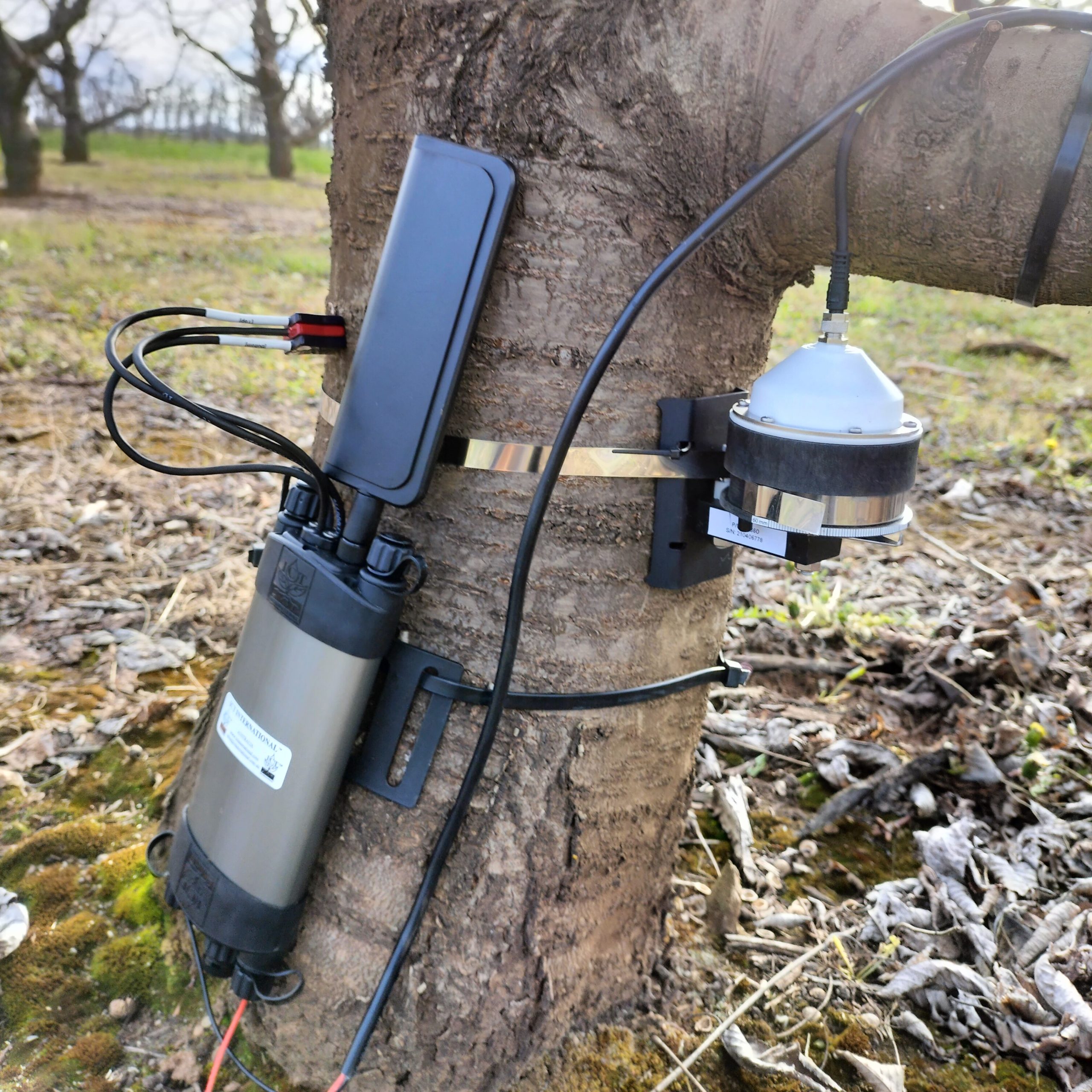 SFM1C Installed with Dendrometer in Orchard