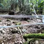 Throughfall Collector side view