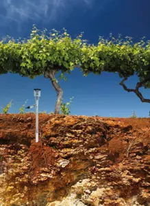 Jetfill Tensiometer with GT3 vacuum pressure transducer in a vineyard