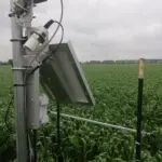 MFR-NODE used in Cropping Research for measurement of light interception and canopy temperature