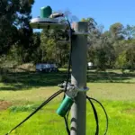 NDVI Sensor for tree, crop and pasture management