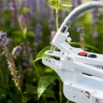 MINI-PAM-II-POROMETER Measurements on leaf