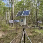 Finapp with MFR Node