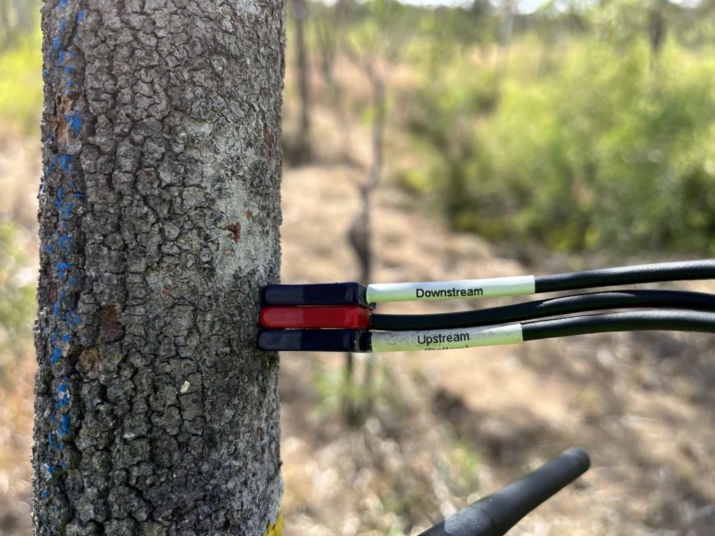 Sap Flow Probes