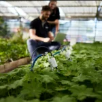 MICRO-PAM with multiple heads